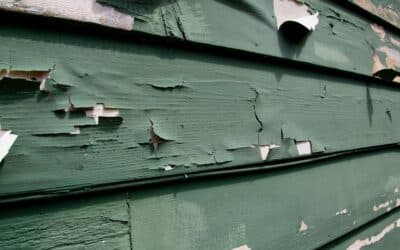 Exterior Paint Colors That Resist Fading in Full Sun