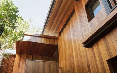 Should You Paint or Stain Cedar Siding?
