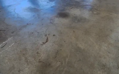 epoxy flooring project by Premier Painting