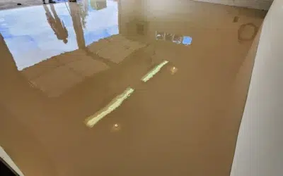 epoxy flooring project by Premier Painting